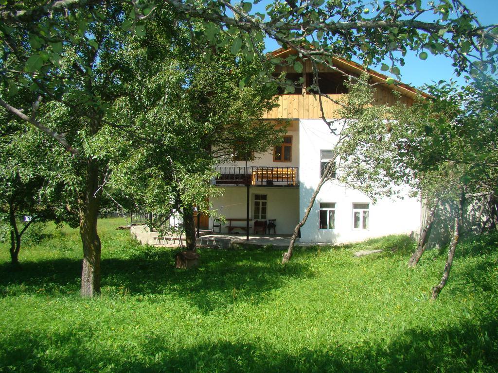 Guest House Tavaduri Mestia Exterior photo